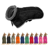 Fragralley waterproof dog jacket with warm fleece lining keeps dogs dry and cozy on rainy walks.