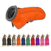 Fragralley waterproof outer shell dog coat shows rain protection for active dogs.