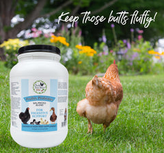 Fresh Eggs Daily Poultry Probiotics being mixed into feed for digestive support.