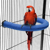 FrgKbTm U Shape Parrot Perch blue on cage for claws grinding and balance.