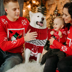 Frienda snowflake pattern dog sweater for festive events and photos.