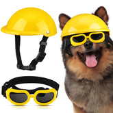 Frienda dog helmet on small dog head shows adjustable fit for sunny walks