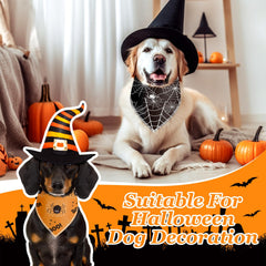 Frienda spider-web orange dog bandana for Halloween visibility during outings