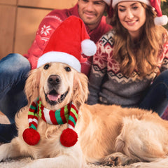 Frienda red knitted scarf for pets adds cozy style on winter days.