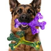 Frienhund beef bacon two-pack pack shot highlights durable chew for aggressive chewers.