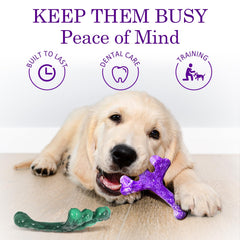 Frienhund-indestructible-dog-toy-bone-shape showcases a sturdy bone shape designed for tough bites.