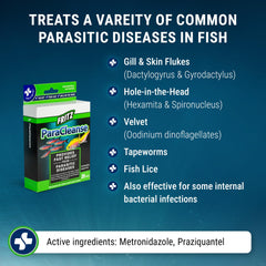 Bulk jar of ParaCleanse supports larger aquariums and systems.