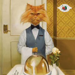 Fromm Four-Star Chicken A La Veg kibble closeup—high-quality chicken protein for muscle maintenance.