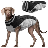 FUAMEY dog coat back zipper harness enables easy on-the-go leash attachment