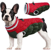 FUAMEY dog coat front view shows waterproof protection for chilly walks.