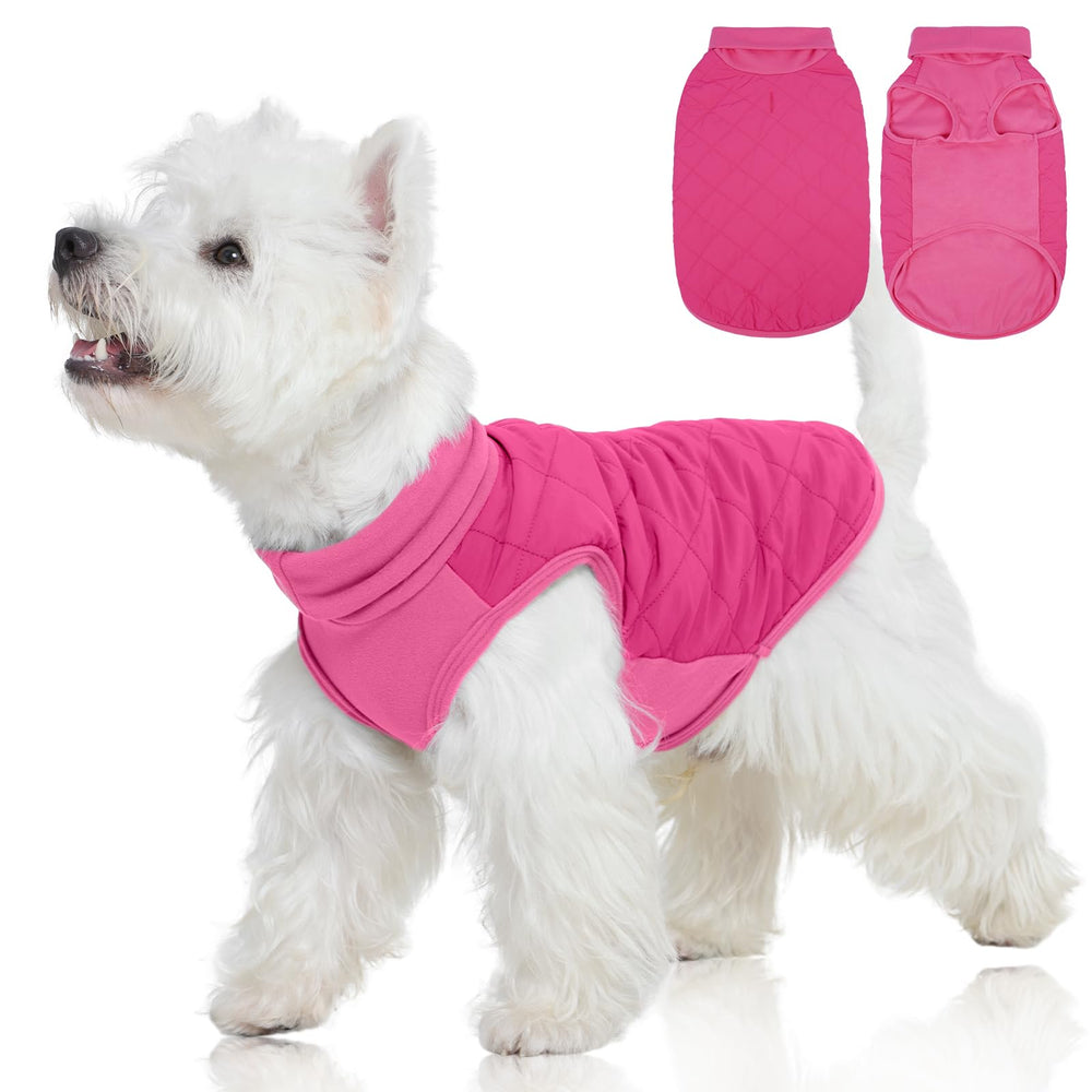 FUAMEY dog fleece jacket pink M worn by a medium dog for cozy outdoor warmth.