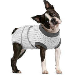 FUAMEY dog recovery suit back view shows full coverage for post-op wear