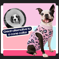 FUAMEY recovery suit on dog during walk illustrates freedom of movement