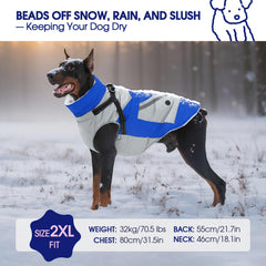 FUAMEY dog winter jacket demonstrates built-in harness loop for quick leash use.