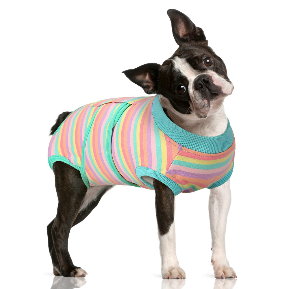 FUAMEY recovery suit worn on a dog after surgery provides gentle wound protection and comfort.