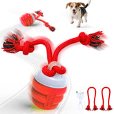FUGODIWI Smart Interactive Dog Ball rolling action to burn energy during play.