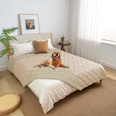 Fuguitex dog blanket beige khaki 82x82 protecting sofas from spills.