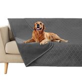 Fuguitex dog blanket cover in dark grey protects couches with plush comfort.