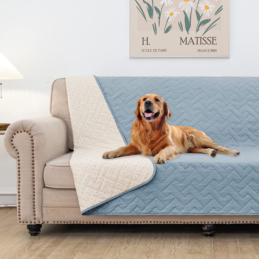 Fuguitex waterproof dog bed cover on sofa showing spill resistance and easy cleanup.