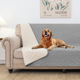 Fuguitex Waterproof Dog Bed Cover protects beds and sofas with durable microfiber.