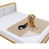 Fuguitex waterproof dog blanket in beige and cream with reversible two-color design protects furniture from spills.