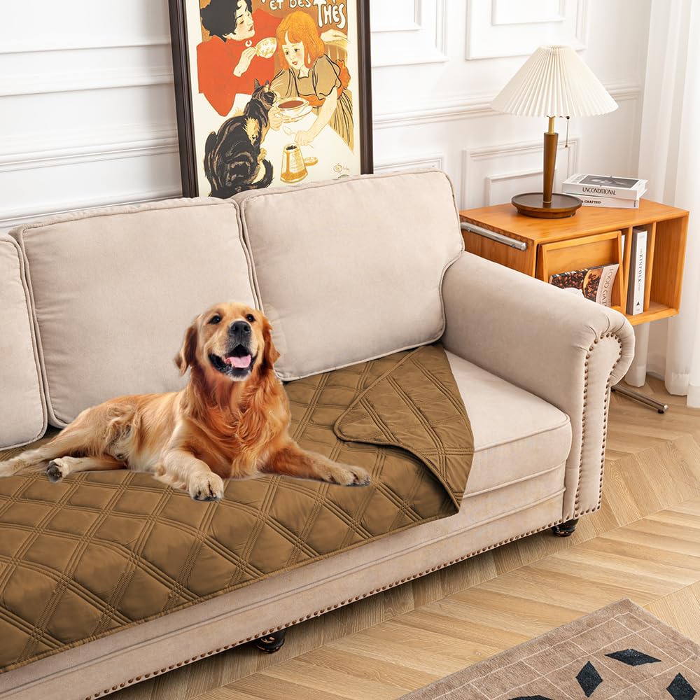 Fuguitex waterproof dog blanket front view protects furniture during playtime.