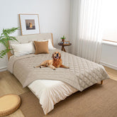 Fuguitex waterproof dog blanket reversible protects your couch with dual colors.