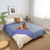 Fuguitex waterproof dog blanket violet-blue on couch protects furniture from spills.