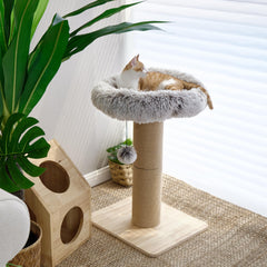FUKUMARU plush donut cat bed offers soft lounging with window view.