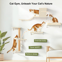 FUKUMARU cat wall shelves cat bridge demonstrates space-saving multi-use furniture for play.