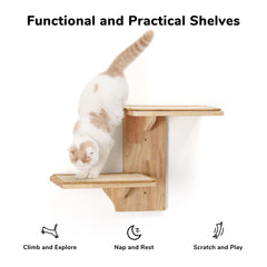 FUKUMARU cat wall shelves drywall-mount installation for stable climbing.
