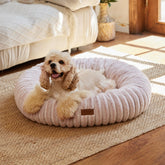 FUKUMARU dog bed gradient print creates a calming nest for anxious dogs.