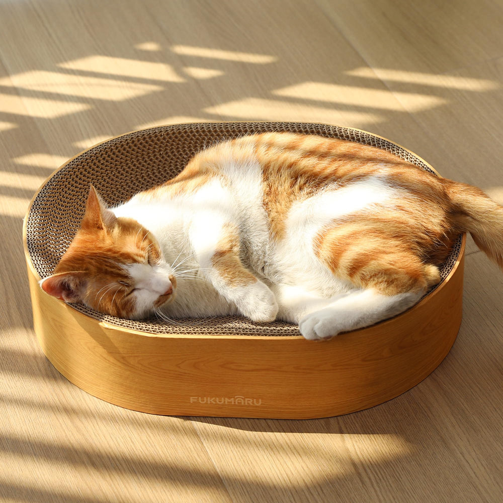 FUKUMARU oval cat scratcher bed for ergonomic lounging and clawing.