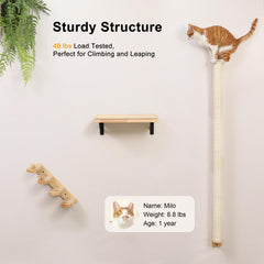 FUKUMARU Cat Wall Scratcher space-saving design helps keep floors clear.