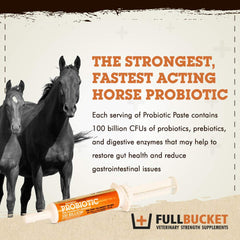 FullBucket Health probiotic paste application tip enabling precise dosing.