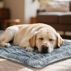 Fulltour dog car seat cover 4cm cushioning supports joints