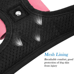 FUNAT dog harness bow detail adds cute sparkle for everyday adventures.