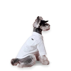 Fung Fay luxury dog shirt button-up showcasing slim fit for small breeds.