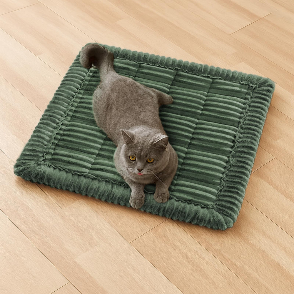 Funny Fuzzy pet couch cover close-up shows soft-flannel texture for cozy lounging.