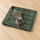 Funny Fuzzy pet couch cover close-up shows soft-flannel texture for cozy lounging.