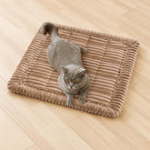 Funny Fuzzy pet couch cover in light brown with soft-flannel fabric for cozy pet comfort.
