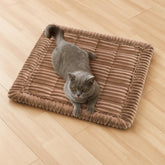 FUNNY FUZZY pet couch cover with soft-flannel fabric for cozy lounging and warmth