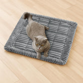 FUNNY FUZZY soft-flannel blue-grey closeup shows plush texture for pets.