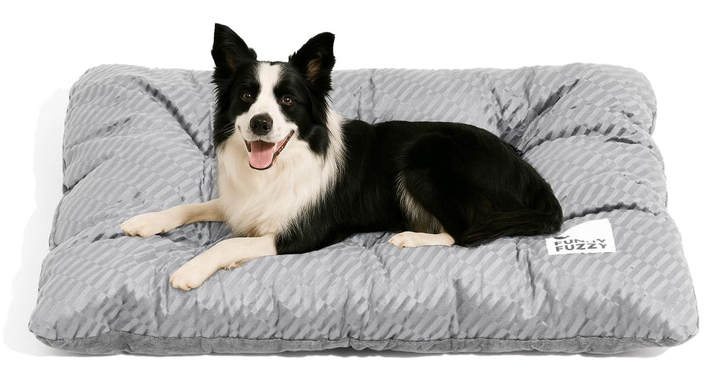 Funny Fuzzy Washable Dog Bed front view shows spacious surface for large dogs comfort.