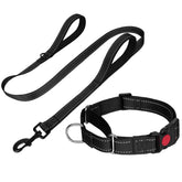 FunTags martingale collar closeup shows sturdy build for training control