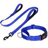 FunTags martingale collar navy blue closeup for secure training control