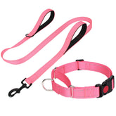 FunTags Reflective Martingale Collar Baby Pink closeup highlighting safety and control.