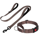 FunTags reflective martingale collar in brown enhances night visibility and training control.