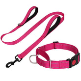 FunTags reflective martingale collar hotpink closeup showing adjustable fit and safety features