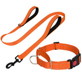 FunTags Reflective Martingale Collar orange closeup shows secure fit for training sessions.